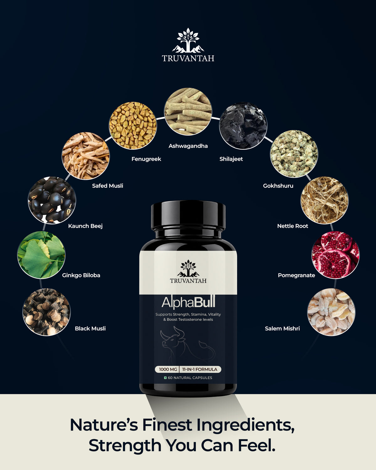 AlphaBull natural wellness capsules and ingredients